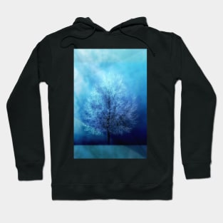 Winter Frost Hoodie